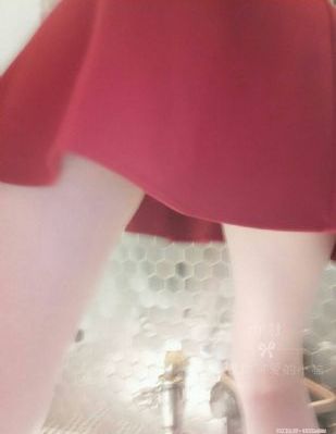 沧元图全集免费